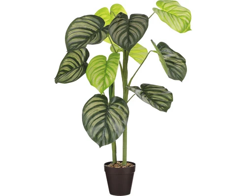 MICA Kunstplant Caladium In Pot Ø 50 Cm H 100 Cm 1 MICA Kunstplant Caladium In Pot Ø 50 Cm H 100 Cm