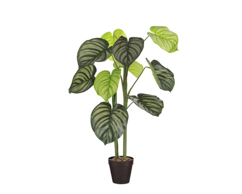 MICA Kunstplant Caladium In Pot Ø 50 Cm H 100 Cm 2 MICA Kunstplant Caladium In Pot Ø 50 Cm H 100 Cm - Afbeelding 2