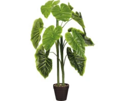 MICA Kunstplant Alocasia In Pot Ø 50 Cm H 100 Cm