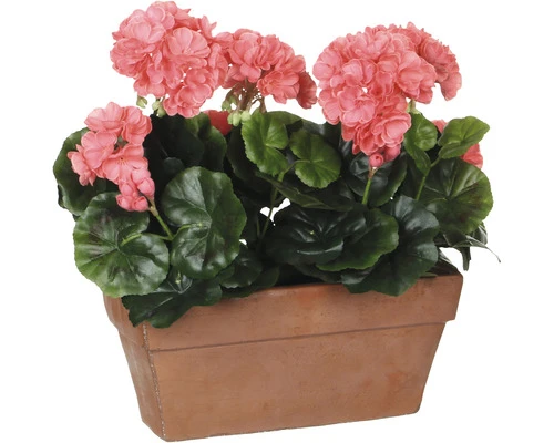 MICA Kunstplant Geranium Zalm In Balkonbak 29x13x40 Cm 1 MICA Kunstplant Geranium Zalm In Balkonbak 29x13x40 Cm