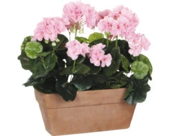 MICA Kunstplant Geranium Roze In Balkonbak 29x13x40 Cm