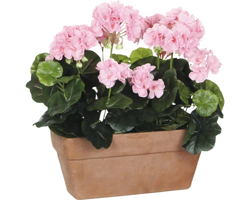 MICA Kunstplant Geranium Roze In Balkonbak 29x13x40 Cm 1 MICA Kunstplant Geranium Roze In Balkonbak 29x13x40 Cm