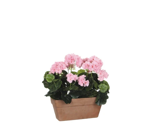 MICA Kunstplant Geranium Roze In Balkonbak 29x13x40 Cm 2 MICA Kunstplant Geranium Roze In Balkonbak 29x13x40 Cm - Afbeelding 2