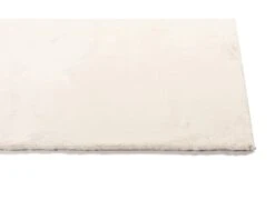 Vloerkleed Dream Room 160x230 Cm 5 Vloerkleed Dream Room 160x230 Cm -hornbach winkel DV 8 4614807 01 4c NL 20211201121752