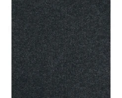 HAMAT Schoonloopmat Renox Zwart 100 Cm Breed (van De Rol)