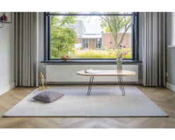 Vloerkleed Sensation Beige 170x230 Cm 11 Vloerkleed Sensation Beige 170x230 Cm -hornbach winkel DV 8 6047601 05 4c NL 20211116094759