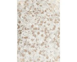 KAYOOM Vloerkleed Exotic 310 Beige/grijs 80x150 Cm