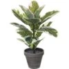 MICA DECORATIONS Kunstplant Rubberplant Groen H 34 Cm