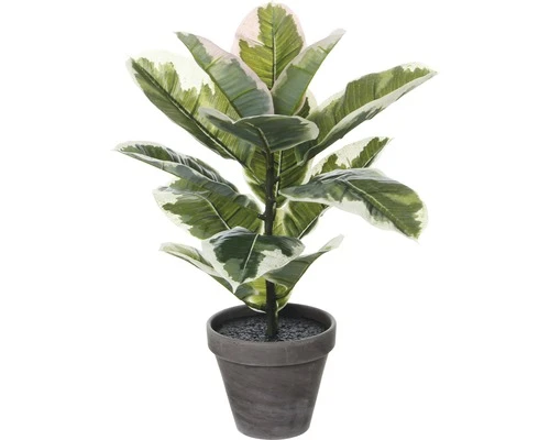 MICA DECORATIONS Kunstplant Rubberplant Groen H 34 Cm 1 MICA DECORATIONS Kunstplant Rubberplant Groen H 34 Cm