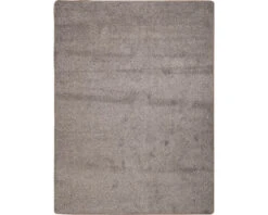 Vloerkleed Passion Taupe 170x230 Cm