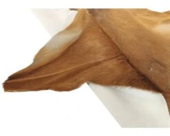 Geitenhuid Bruin Ca. 55x70 Cm -hornbach winkel DV 8 6780519 05 4c AT 20180823211658