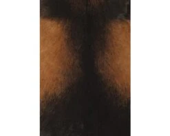 Geitenhuid Bruin Ca. 55x70 Cm -hornbach winkel DV 8 6780519 09 4c AT 20180822201653