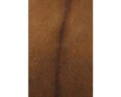 Geitenhuid Bruin Ca. 55x70 Cm -hornbach winkel DV 8 6780519 14 4c AT 20180822201653