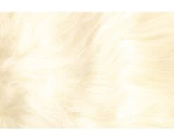 Schapenvacht Island Wit 90x60 Cm -hornbach winkel DV 8 6780522 06 4c AT 20180822171652