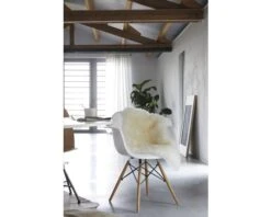 Schapenvacht Wit 100x70 Cm -hornbach winkel DV 8 6780523 03 4c AT 20180822211700