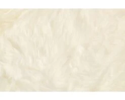 Schapenvacht Wit 100x70 Cm -hornbach winkel DV 8 6780523 04 4c AT 20180822211700