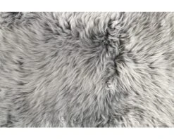 Schapenvacht Grijs 100x70 Cm 9 Schapenvacht Grijs 100x70 Cm -hornbach winkel DV 8 6780527 07 4c AT 20180822211700