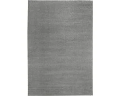 Vloerkleed Jerez Lichtgrijs 67x140 Cm