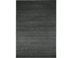 Vloerkleed Jerez Donkergrijs 67x140 Cm