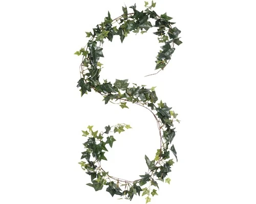 Slinger Hedera Guirlande, Lengte 180 Cm, Groen 1 Slinger Hedera Guirlande, Lengte 180 Cm, Groen