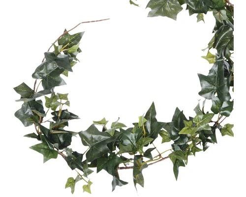 Slinger Hedera Guirlande, Lengte 180 Cm, Groen 2 Slinger Hedera Guirlande, Lengte 180 Cm, Groen - Afbeelding 2