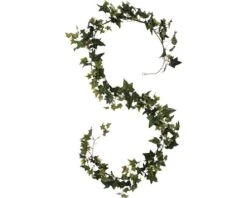 Slinger Hedera Guirlande, Lengte 180 Cm, Jamaica