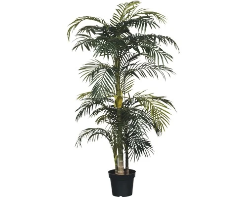 MICA DECORATIONS Kunstpalm Areca Palm Golden Cane H 160 Cm 1 MICA DECORATIONS Kunstpalm Areca Palm Golden Cane H 160 Cm
