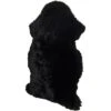 Schapenvacht Zwart 90x60 Cm