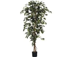 Kunstplant Ficus Benjamina, Hoogte 180