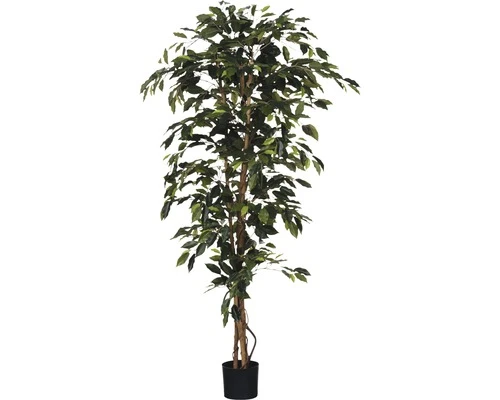 Kunstplant Ficus Benjamina, Hoogte 180 1 Kunstplant Ficus Benjamina, Hoogte 180