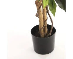 Kunstplant Ficus Benjamina, Hoogte 180 8 Kunstplant Ficus Benjamina, Hoogte 180 -hornbach winkel DV 8 7951345 05 4c NL 20220614174657