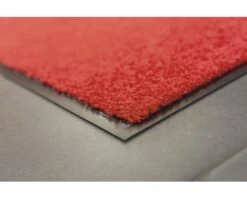 HAMAT Droogloopmat Clean Twist Rood 60x90 Cm -hornbach winkel DV 8 8038306 04 4c DE 20190409114757