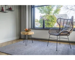 Vloerkleed Sultan Grijs 170x230 Cm 13 Vloerkleed Sultan Grijs 170x230 Cm -hornbach winkel DV 8 8507439 07 4c NL 20211116081656