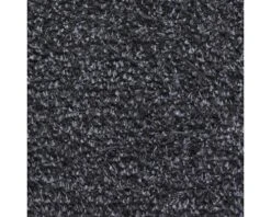 HAMAT Droogloopmat Aqua Stop Antraciet 40x60 Cm -hornbach winkel DV 8 8566599 01 4c NL 20220620074652