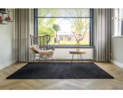 Vloerkleed Sultan Zwart 170x230 Cm 11 Vloerkleed Sultan Zwart 170x230 Cm -hornbach winkel DV 8 8684766 06 4c NL 20211116091755