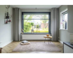 Vloerkleed Sultan Taupe 170x230 Cm 11 Vloerkleed Sultan Taupe 170x230 Cm -hornbach winkel DV 8 8809053 06 4c NL 20211116101652