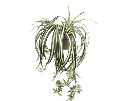 Kunstplant Chloraphytum, Lengte 45 Cm 1 Kunstplant Chloraphytum, Lengte 45 Cm