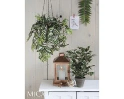 Kunstplant Ficus Natasja In Pot, Hoogte 40 Cm, Bont 6 Kunstplant Ficus Natasja In Pot, Hoogte 40 Cm, Bont -hornbach winkel DV 8 8819633 03 4c NL 20201214131800