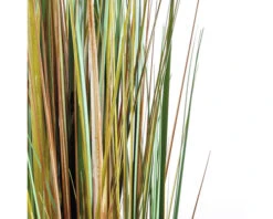 Kunstgras Vedergras, Hoogte 92 Cm, Bruin -hornbach winkel DV 8 8819645 03 4c NL 20220614224656