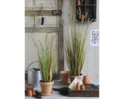 Kunstgras Vedergras, Hoogte 92 Cm, Bruin -hornbach winkel DV 8 8819645 06 4c NL 20220614224656