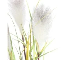 Kunstgras Vedergras, Hoogte 81 Cm, Wit -hornbach winkel DV 8 8819646 05 4c RO 20210114051655