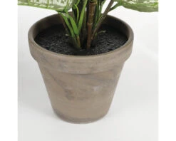 Kunstplant Dieffenbachia In Pot, Hoogte 70 Cm -hornbach winkel DV 8 8819649 03 4c NL 20220616084755