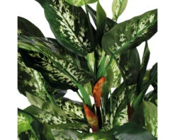 Kunstplant Dieffenbachia In Pot, Hoogte 70 Cm -hornbach winkel DV 8 8819649 04 4c NL 20220617051651