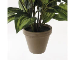Kunstplant Hosta In Pot, Hoogte 65 Cm -hornbach winkel DV 8 8819650 03 4c NL 20220616084755