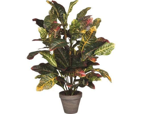 Kunstplant Croton In Pot H 73 Cm 1 Kunstplant Croton In Pot H 73 Cm