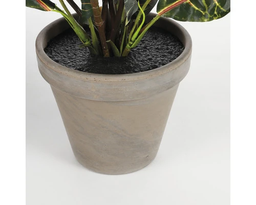Kunstplant Croton In Pot H 73 Cm 3 Kunstplant Croton In Pot H 73 Cm - Afbeelding 3