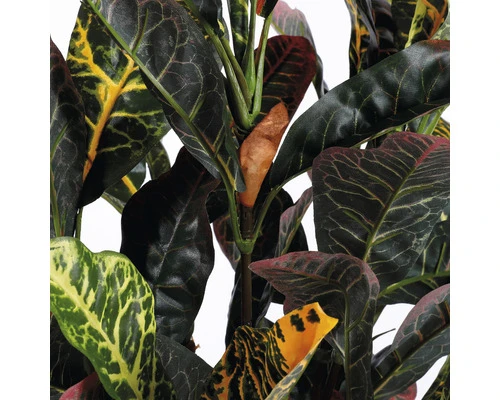 Kunstplant Croton In Pot H 73 Cm 4 Kunstplant Croton In Pot H 73 Cm - Afbeelding 4