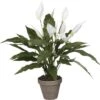 Kunstbloem Spathiphyllum In Pot, Hoogte 50 Cm, Wit