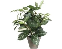 Kunstplant Cordyline, Hoogte 35 Cm, Ø 25 Cm, Groen