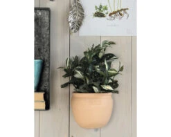 Kunstplant Cordyline, Hoogte 35 Cm, Ø 25 Cm, Groen -hornbach winkel DV 8 8819676 04 4c NL 20220616091658